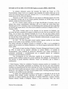 Clipboard16