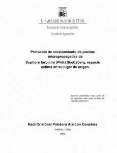 Clipboard21